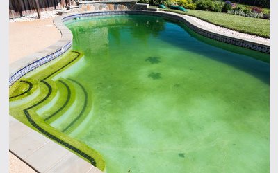 How to Remove Phosphates in Swimming Pools
